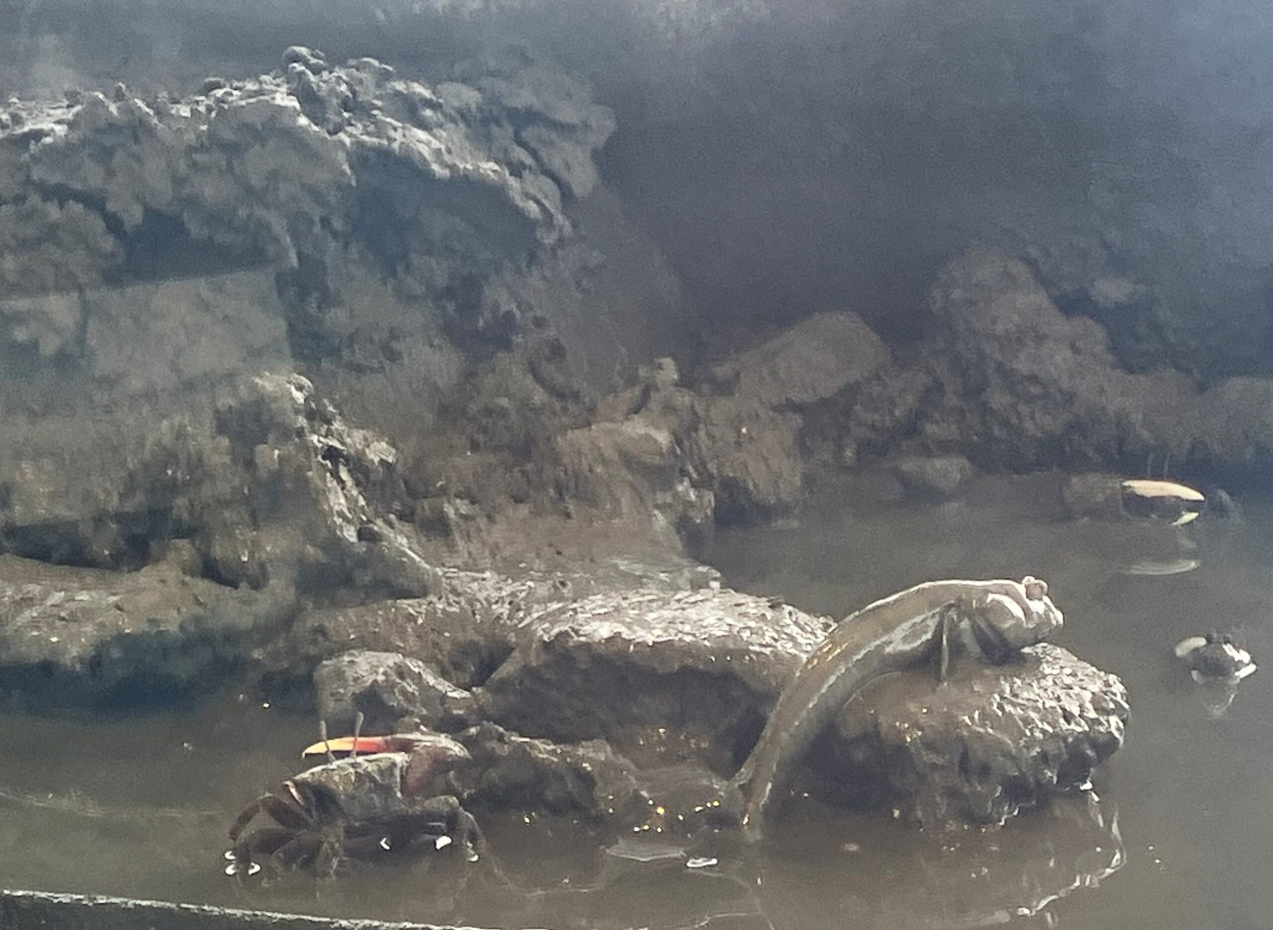 鹿島市干潟交流館