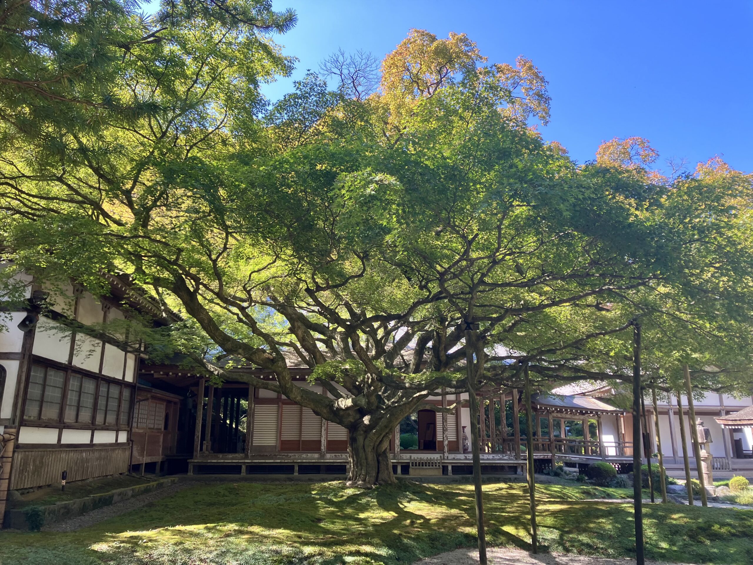 雷山千如寺大悲王院