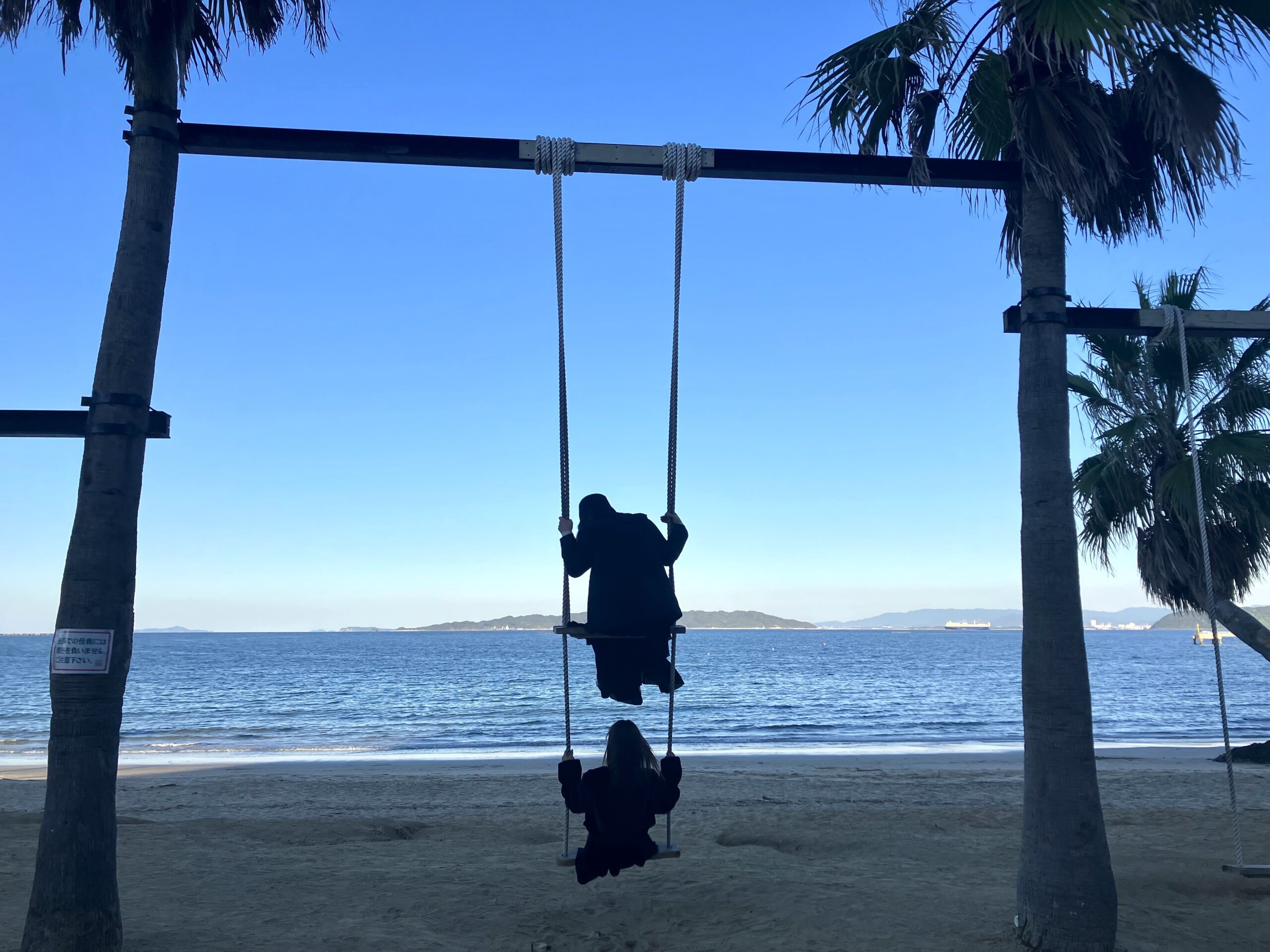 椰子の木ブランコ