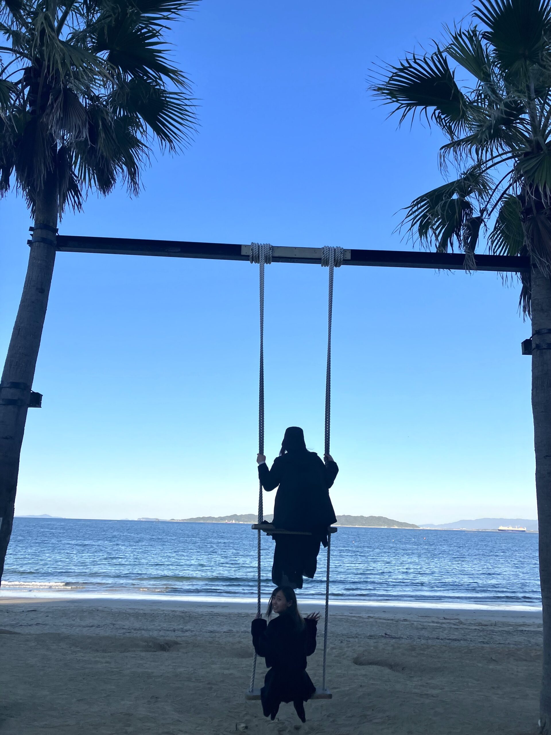 椰子の木ブランコ