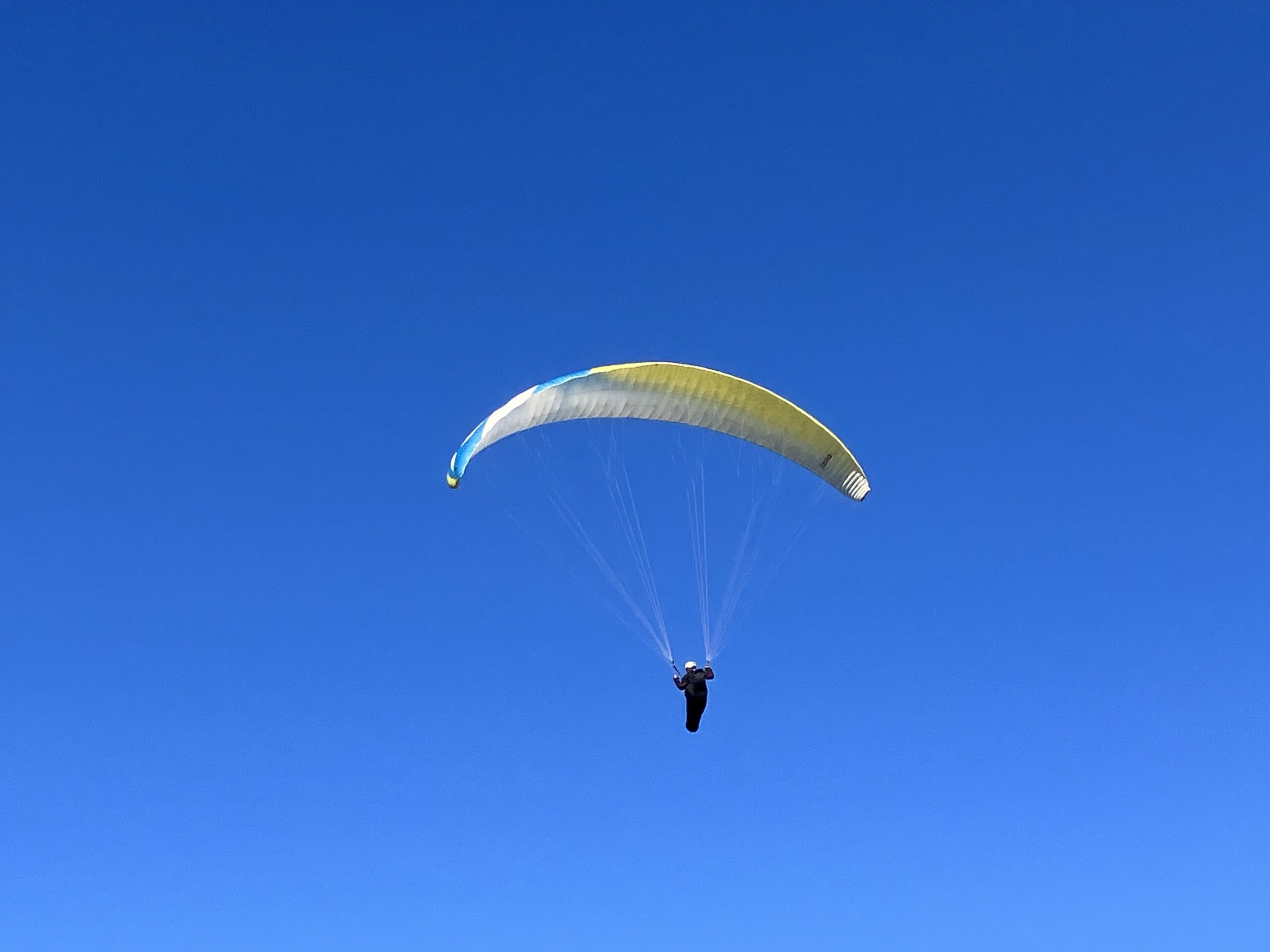 パラグライダー