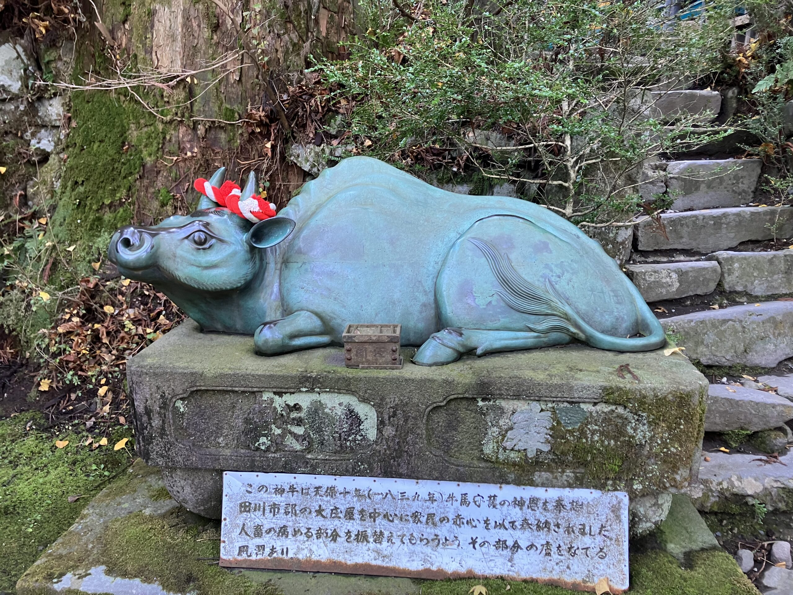 ホルスタインの御神牛