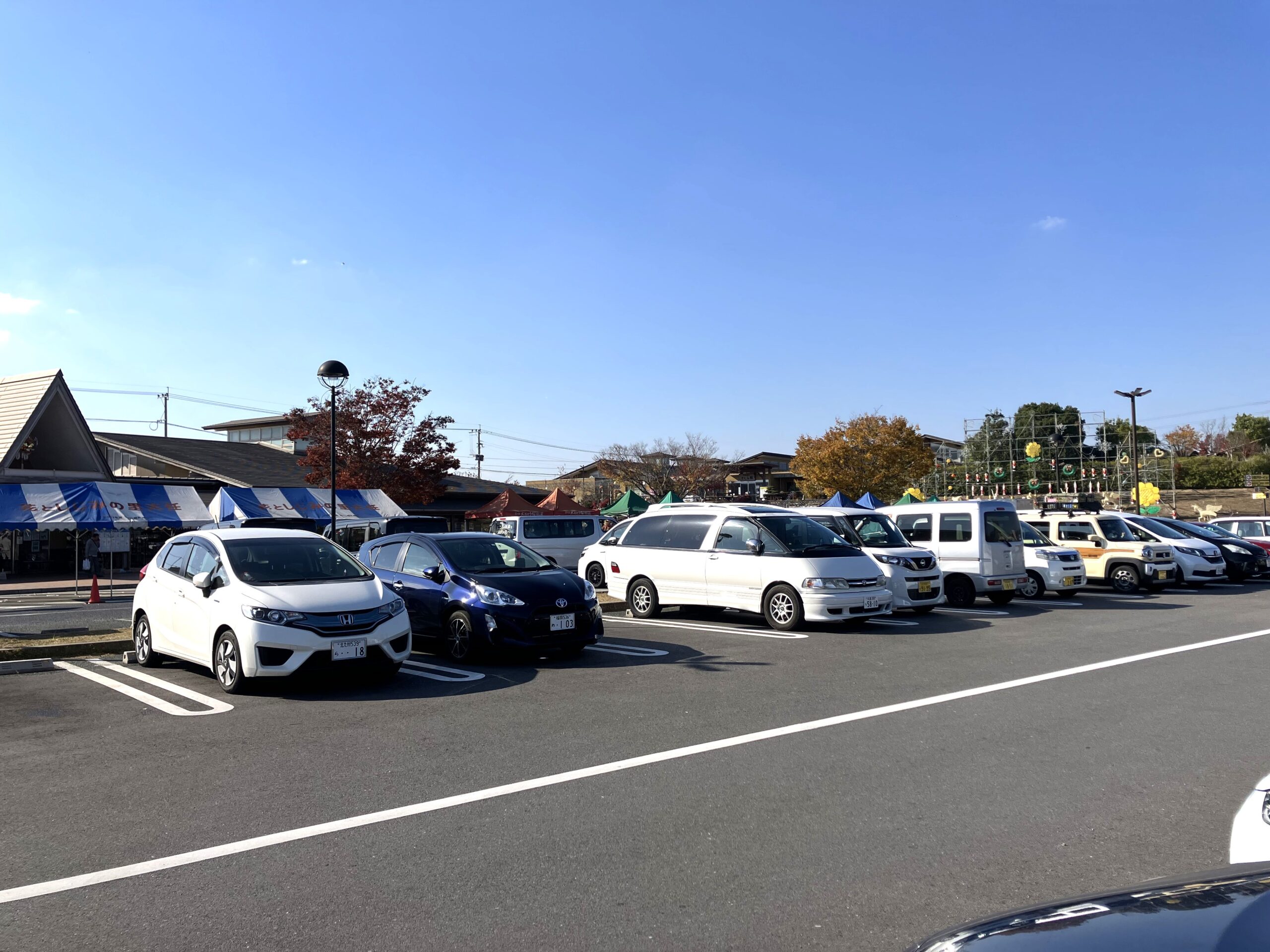 おおとう桜街道