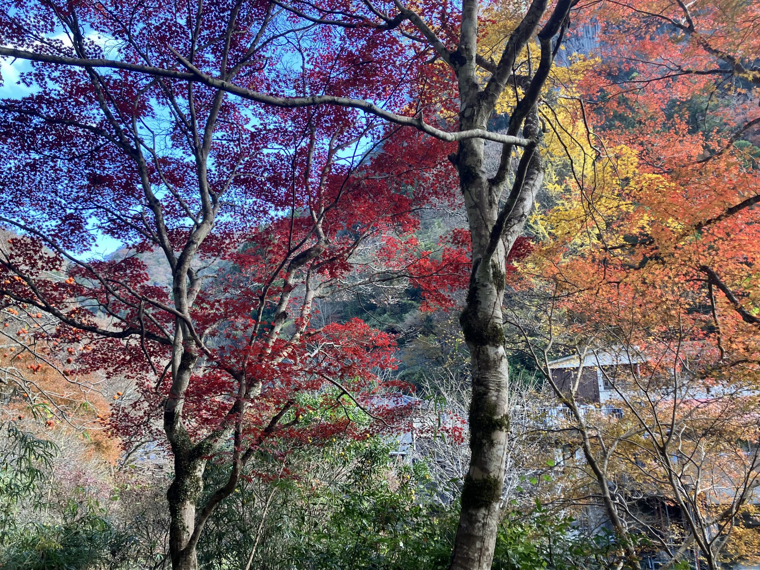 一目八景見晴らし台