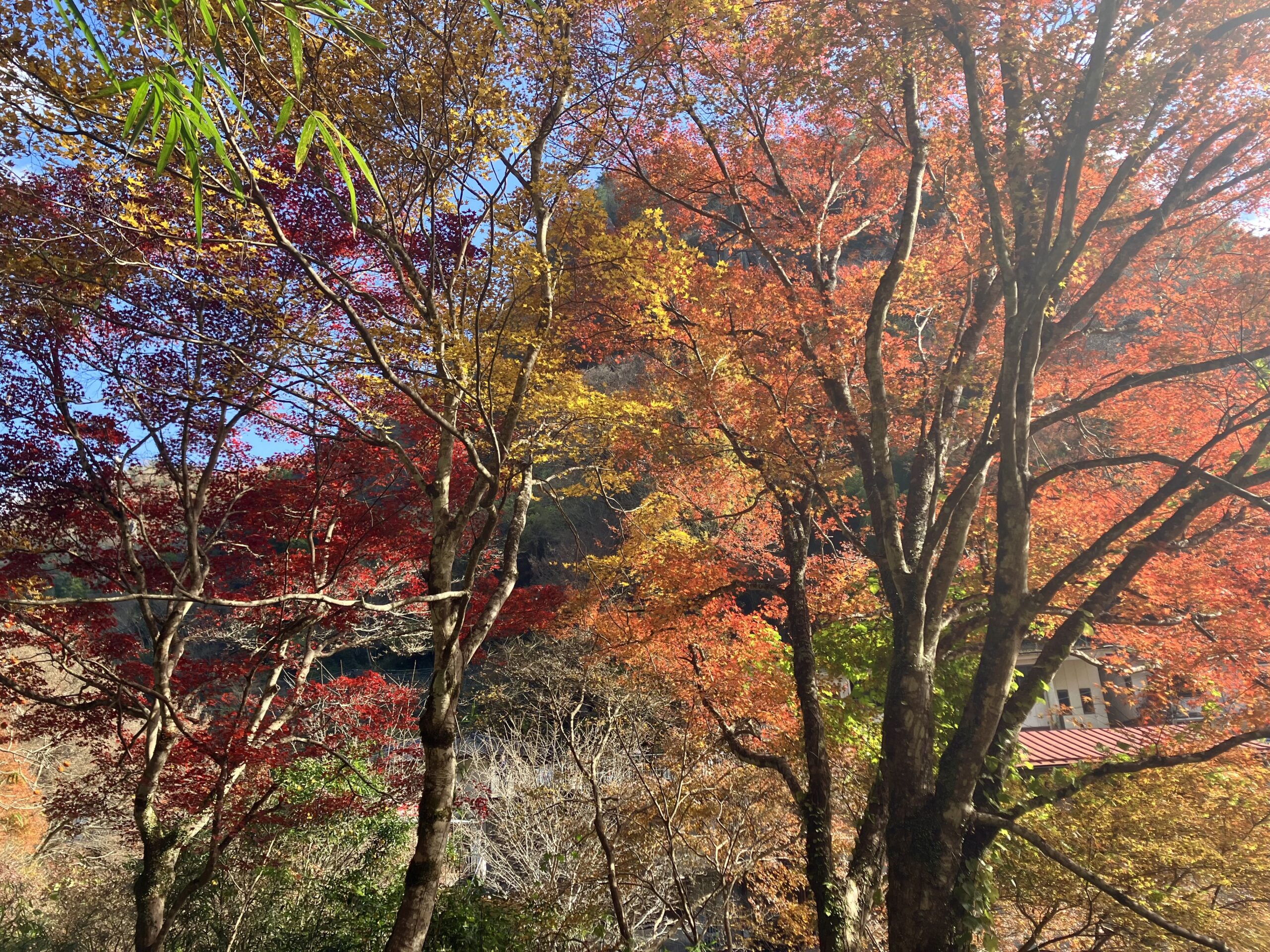 一目八景見晴らし台