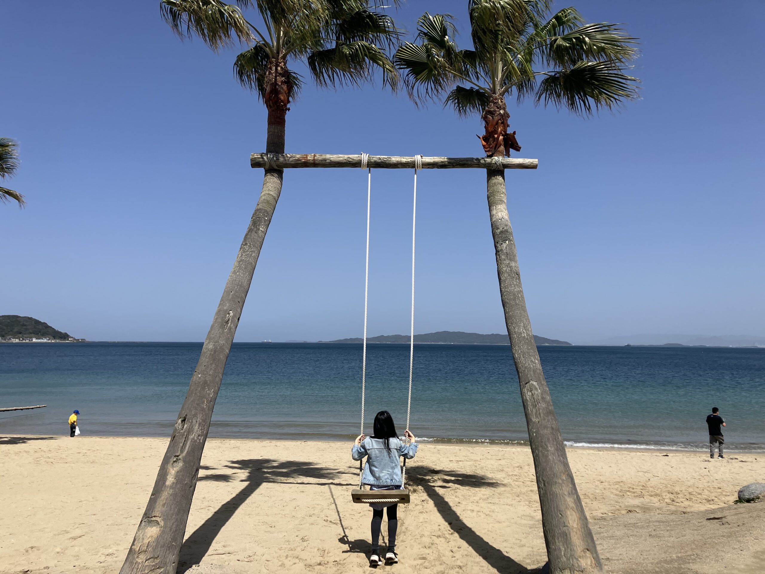 ヤシの木ブランコ