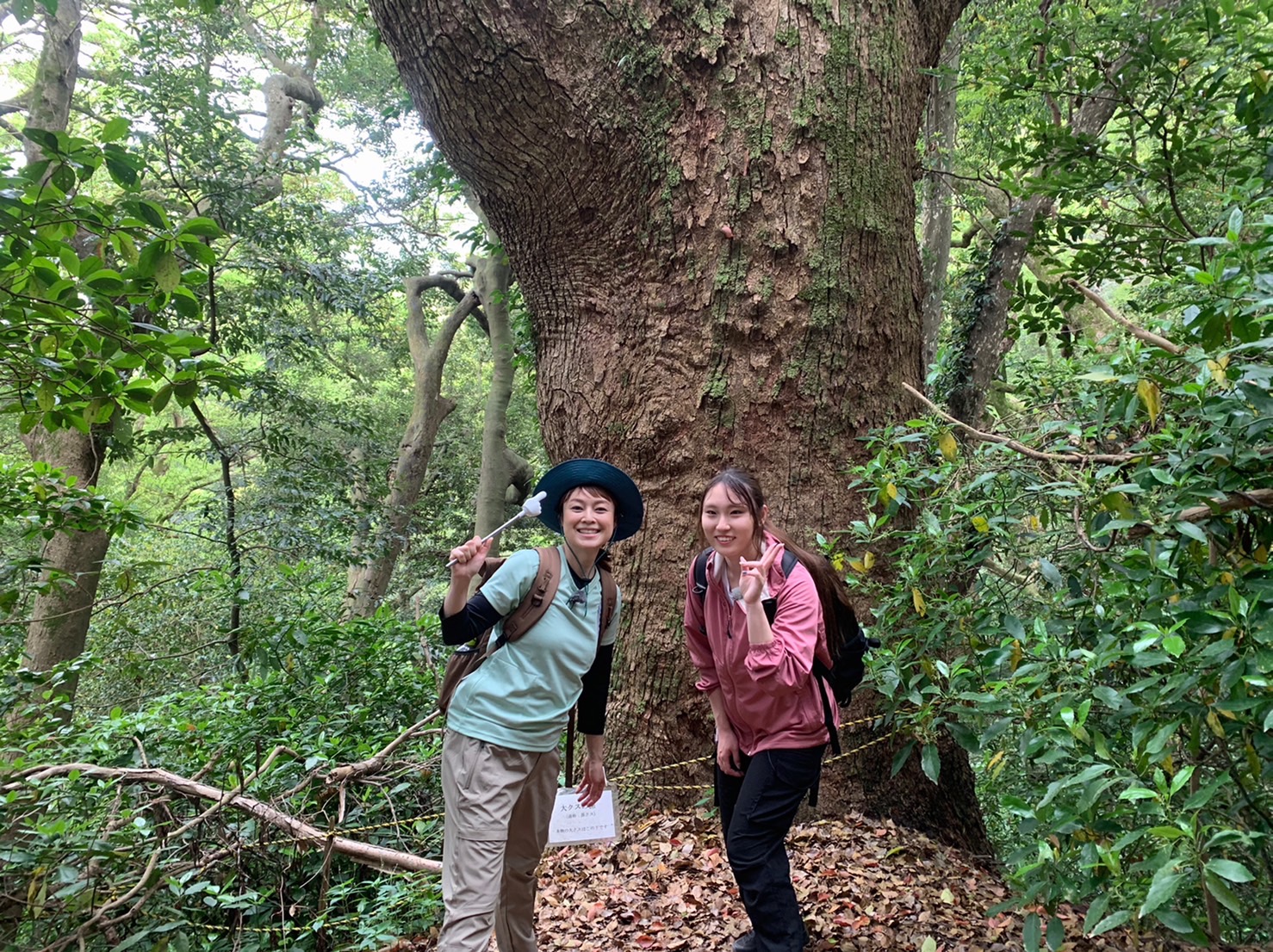 立花山登山ツアーロケ