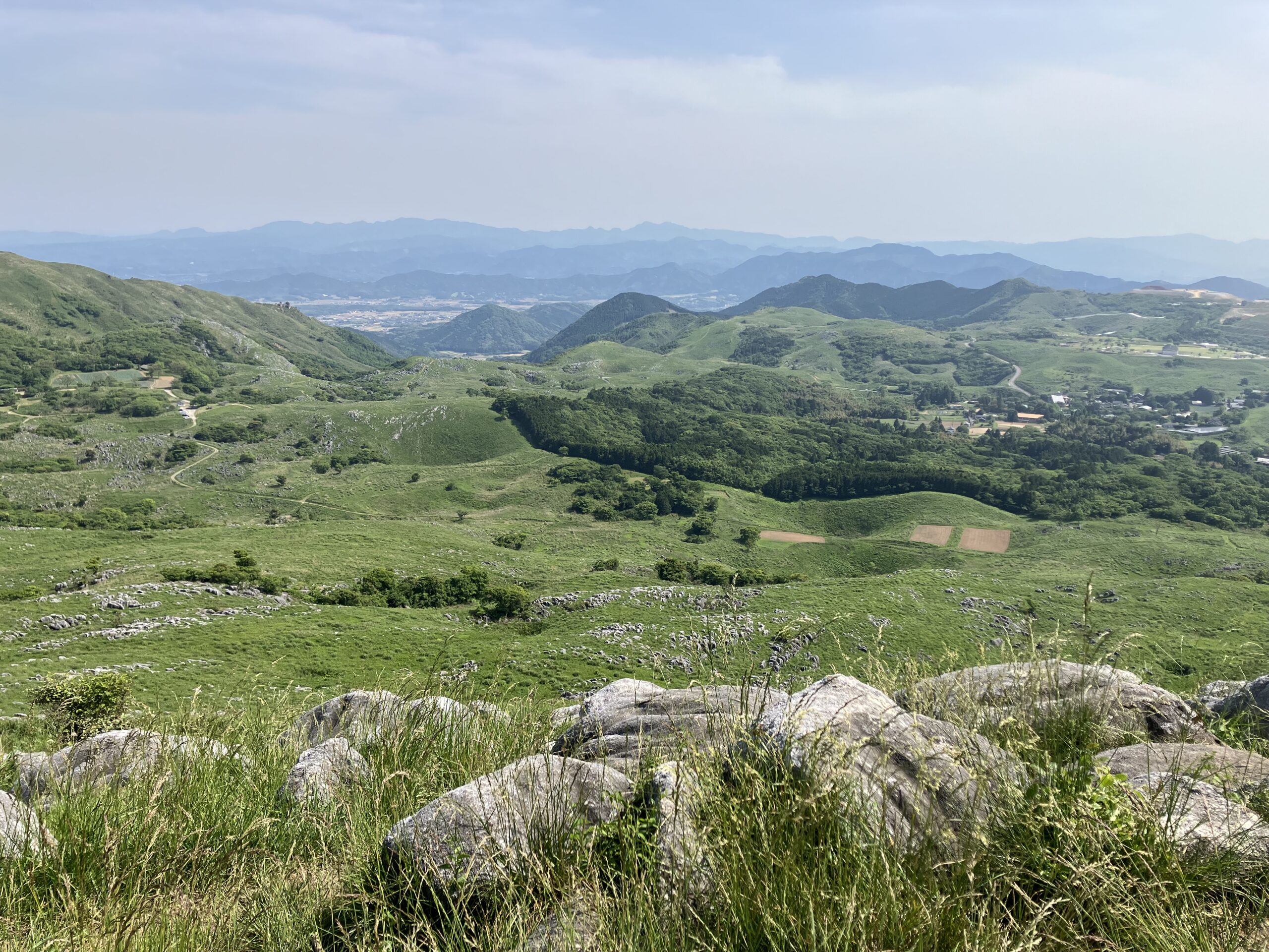 大平山の羊群原