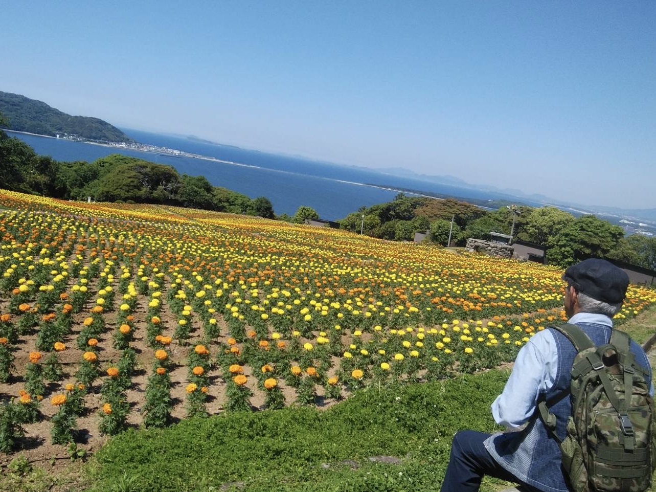 のこのしまアイランドパーク