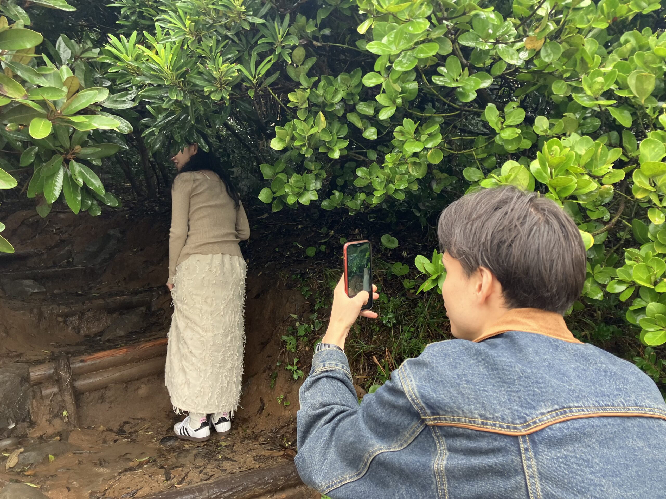 芥屋の大門トトロの森