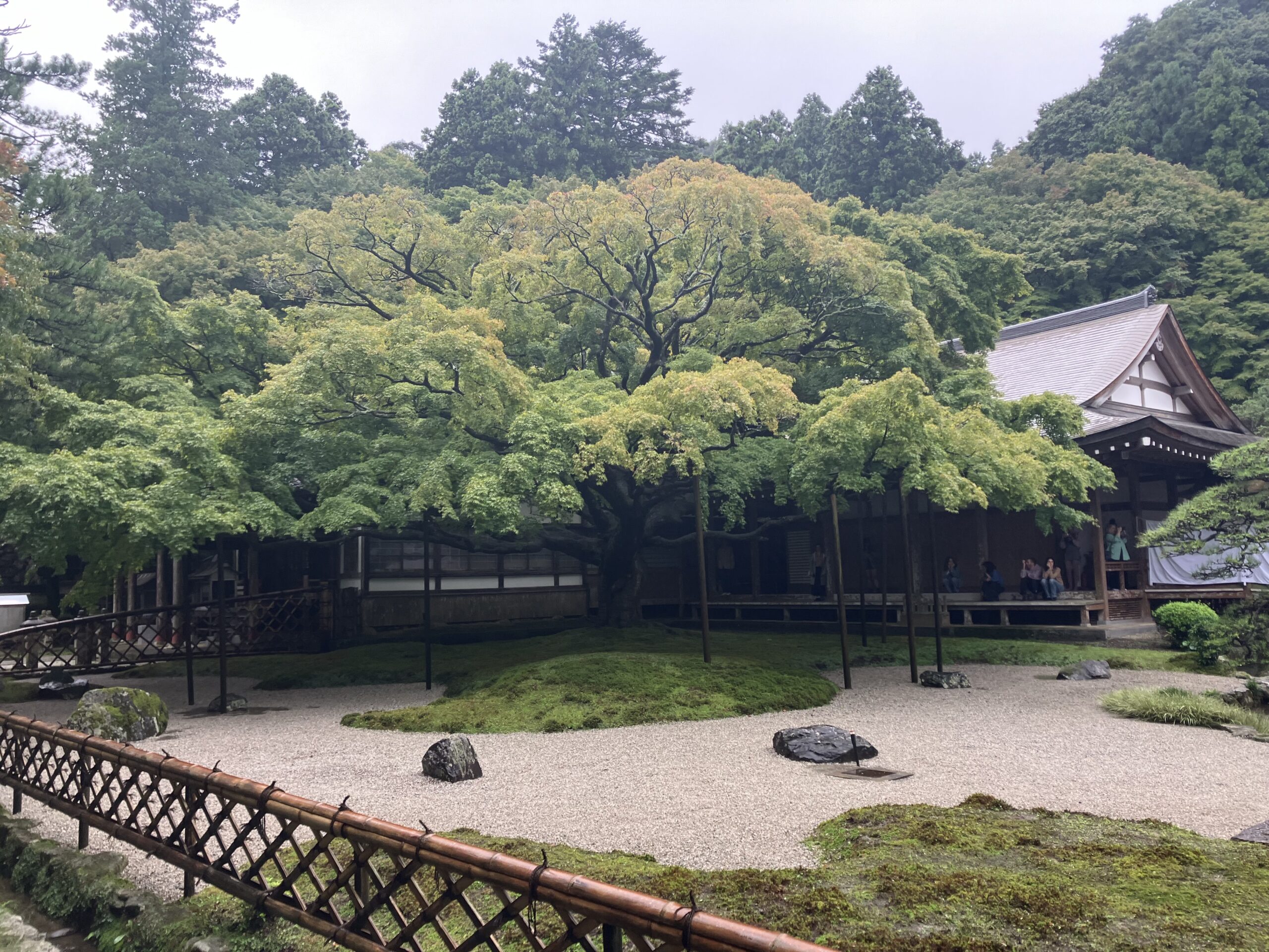 雷山千如寺大悲王院