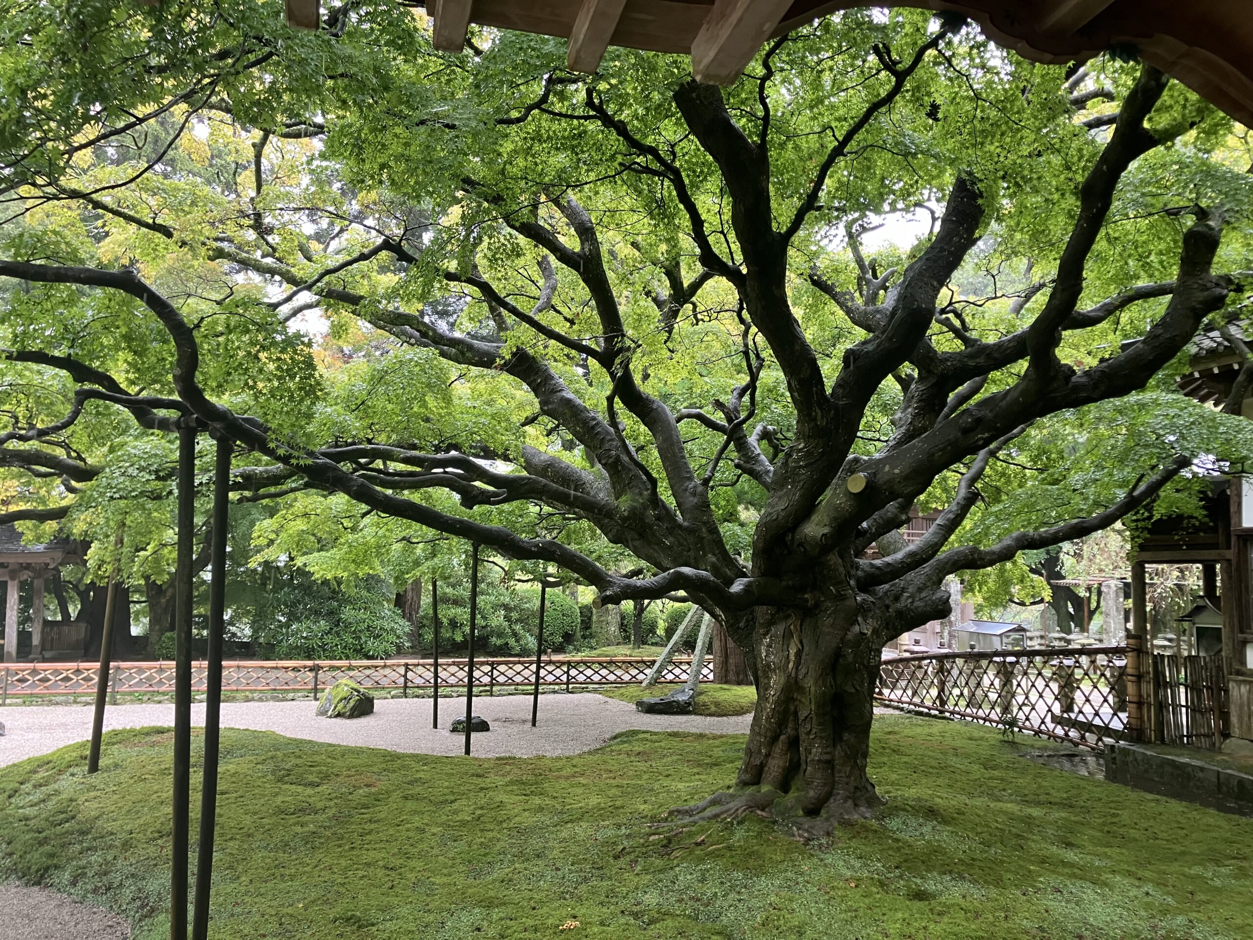 雷山千如寺大悲王院