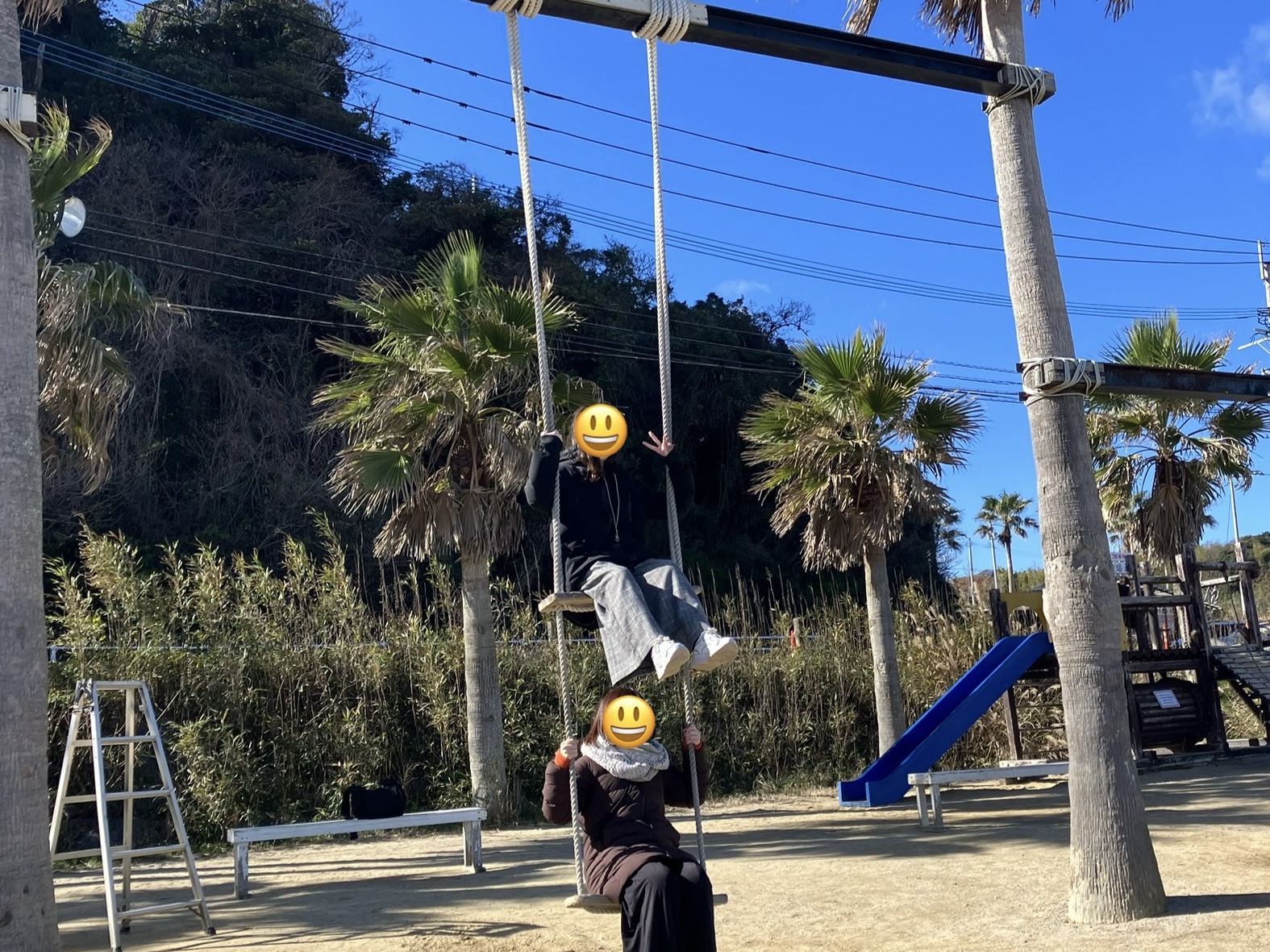 ヤシの木ブランコ