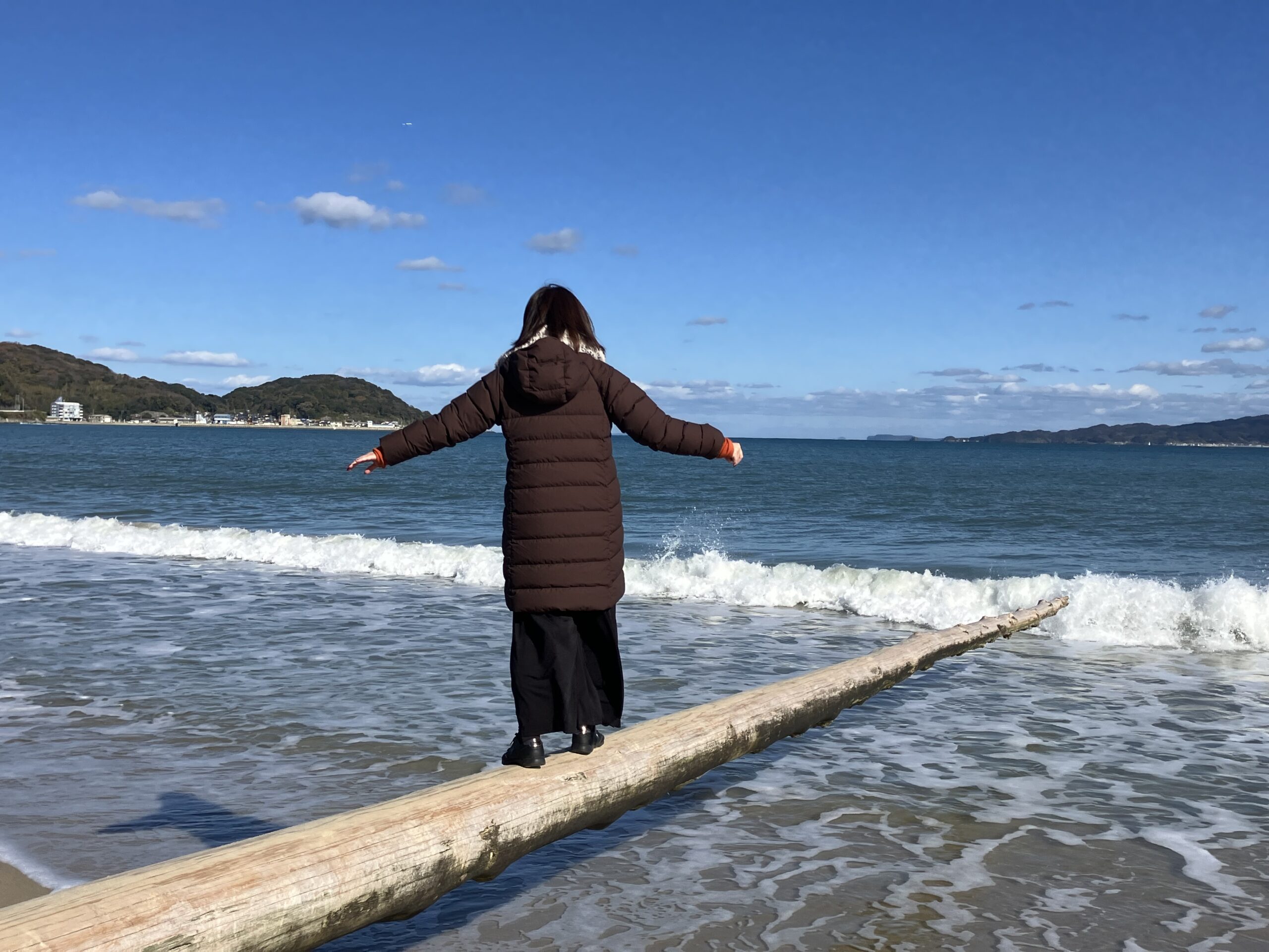 奇跡の流木