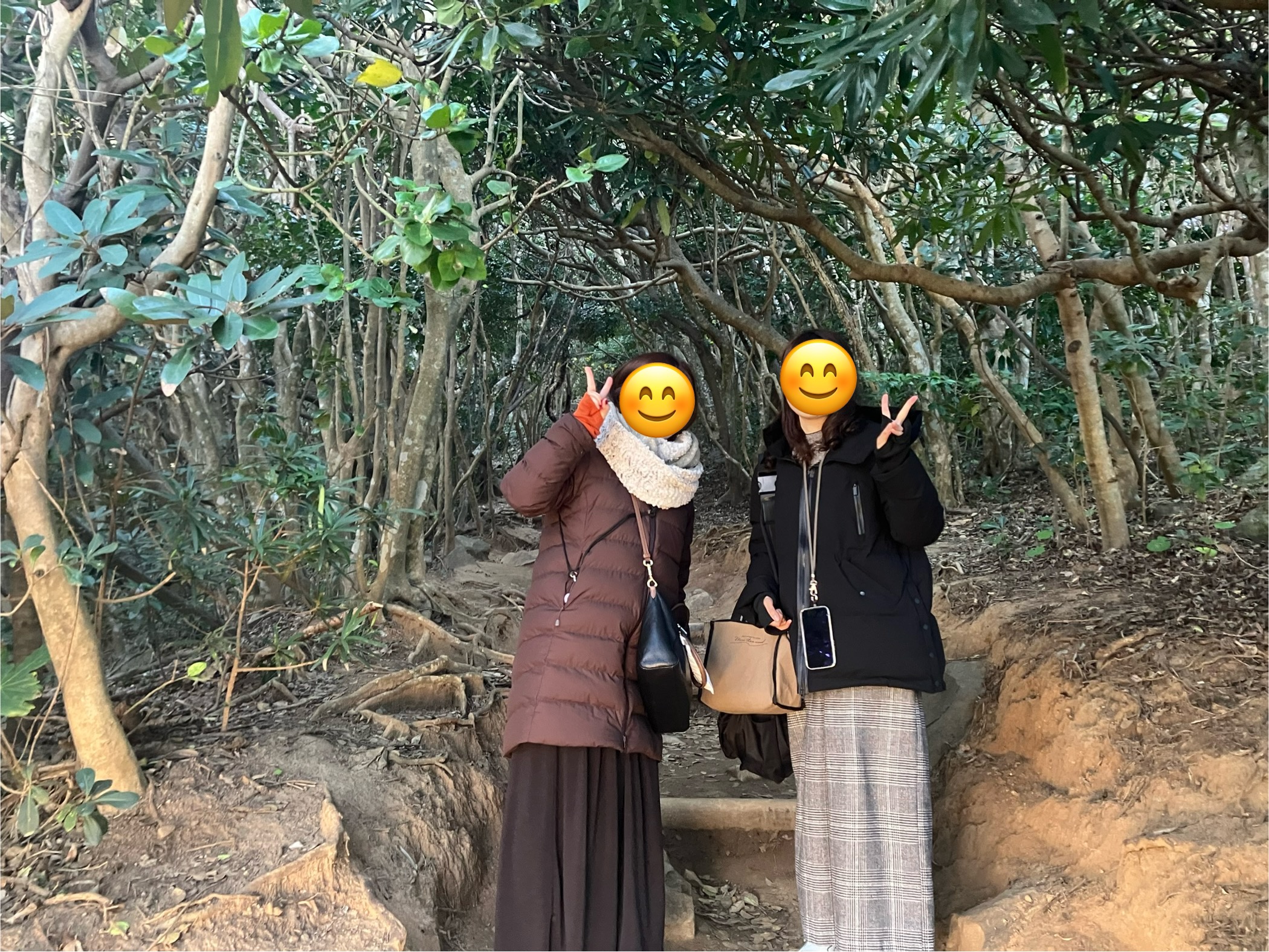 芥屋の大門公園トトロの森