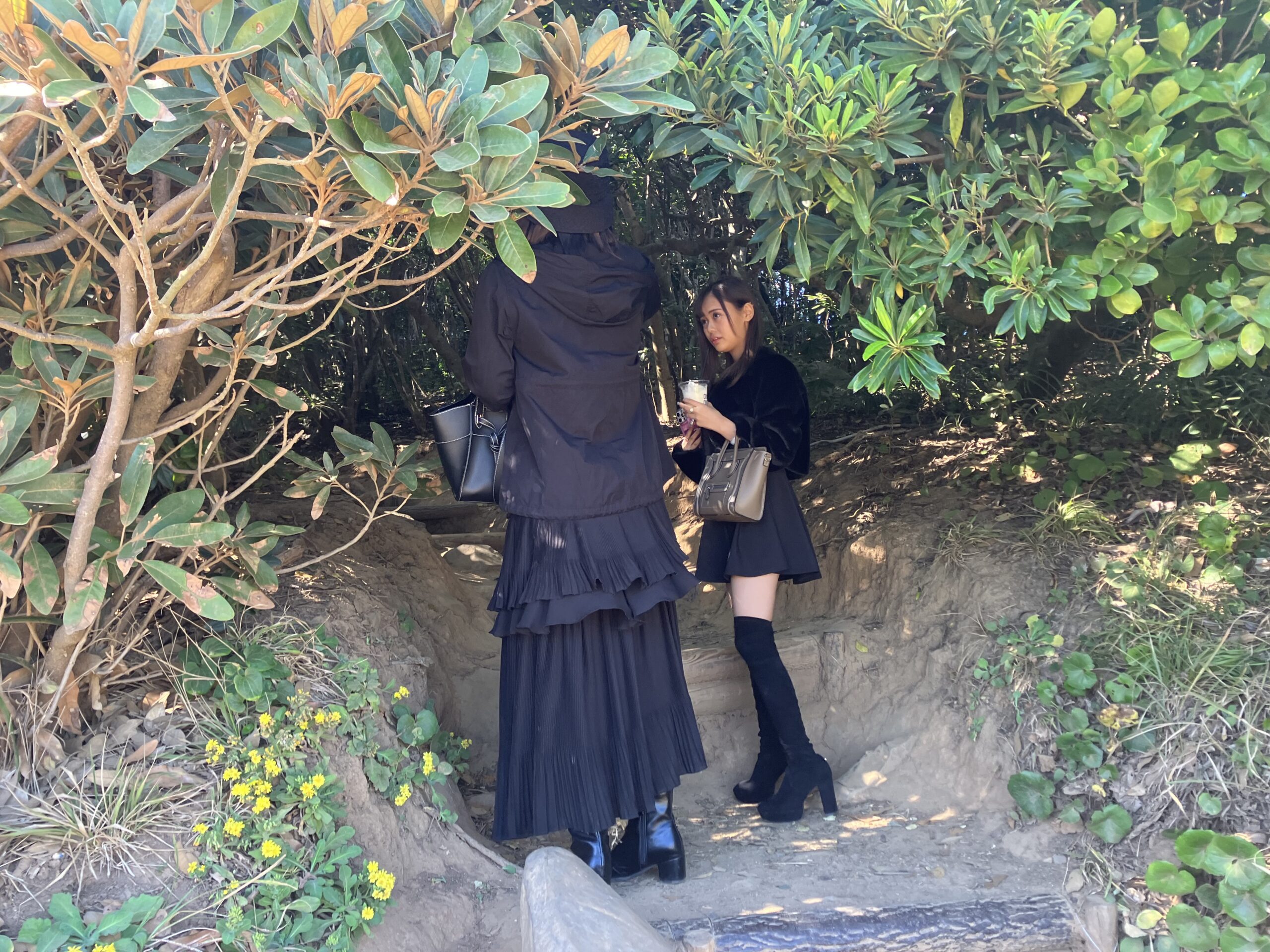 芥屋の大門公園トトロの森