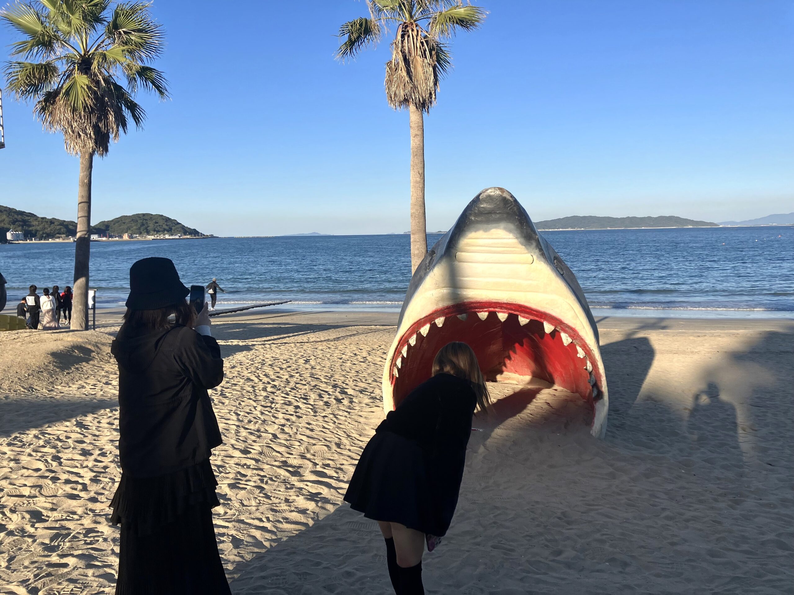 椰子の木ブランコ