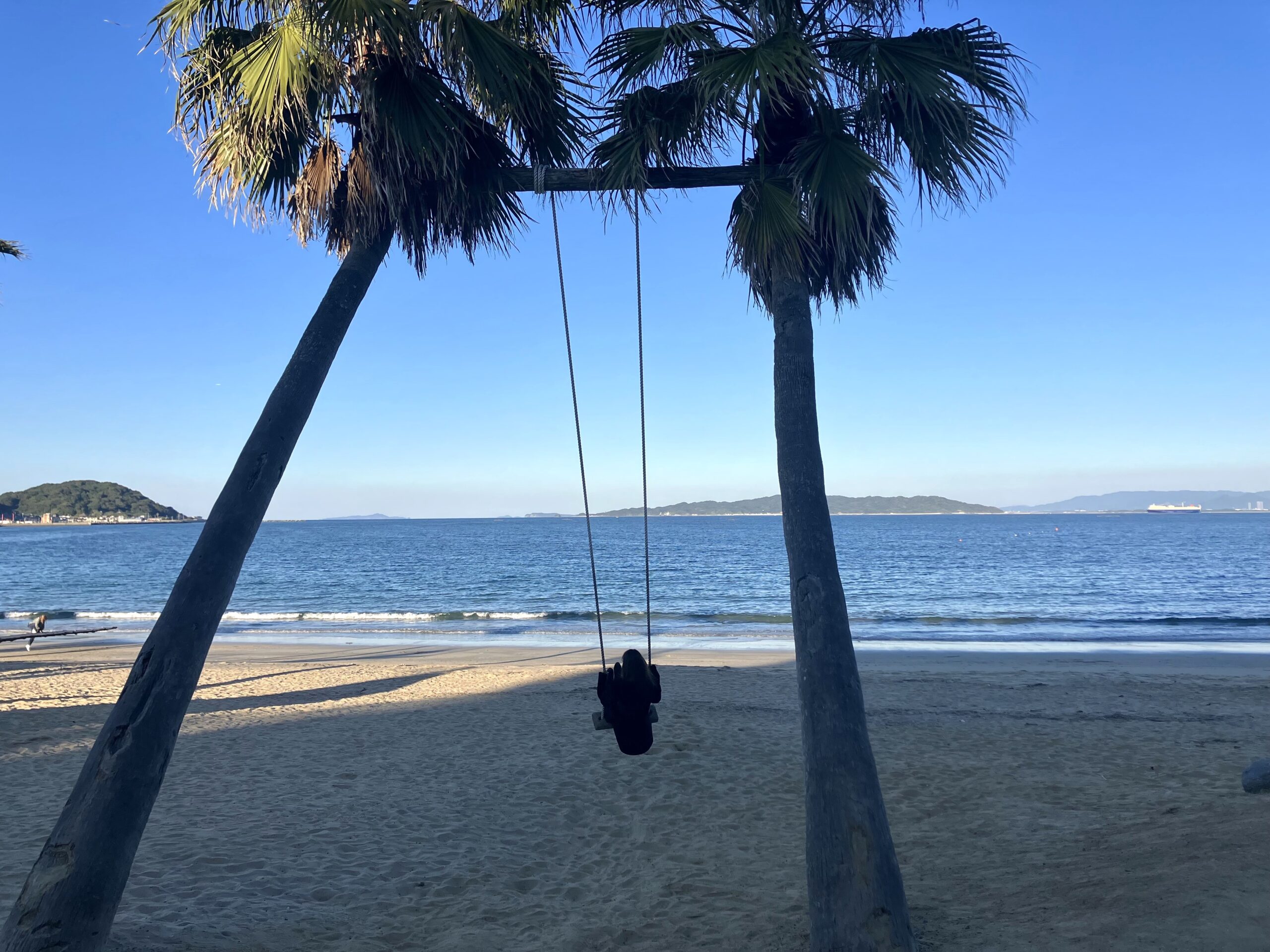 椰子の木ブランコ