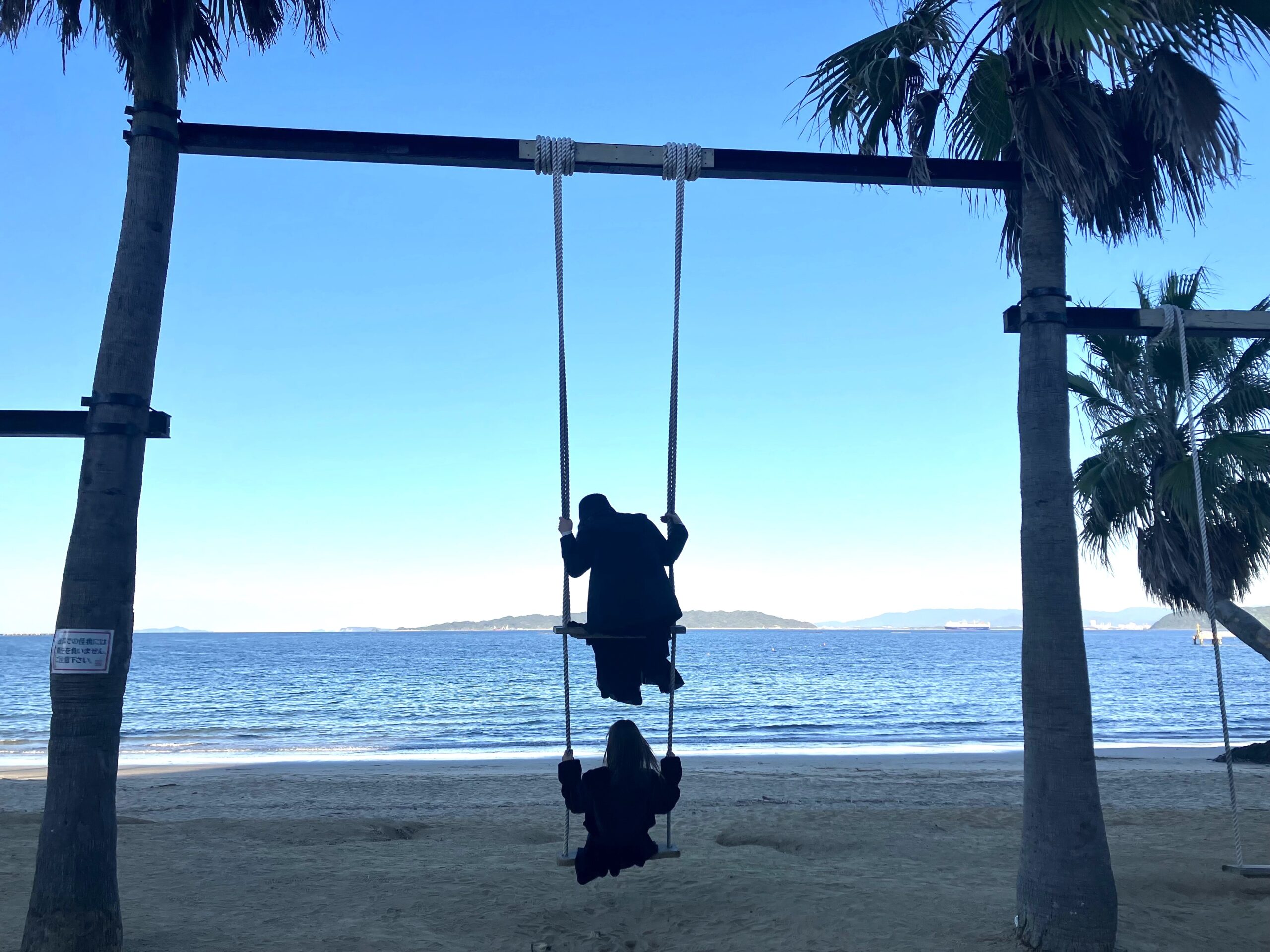 椰子の木ブランコ