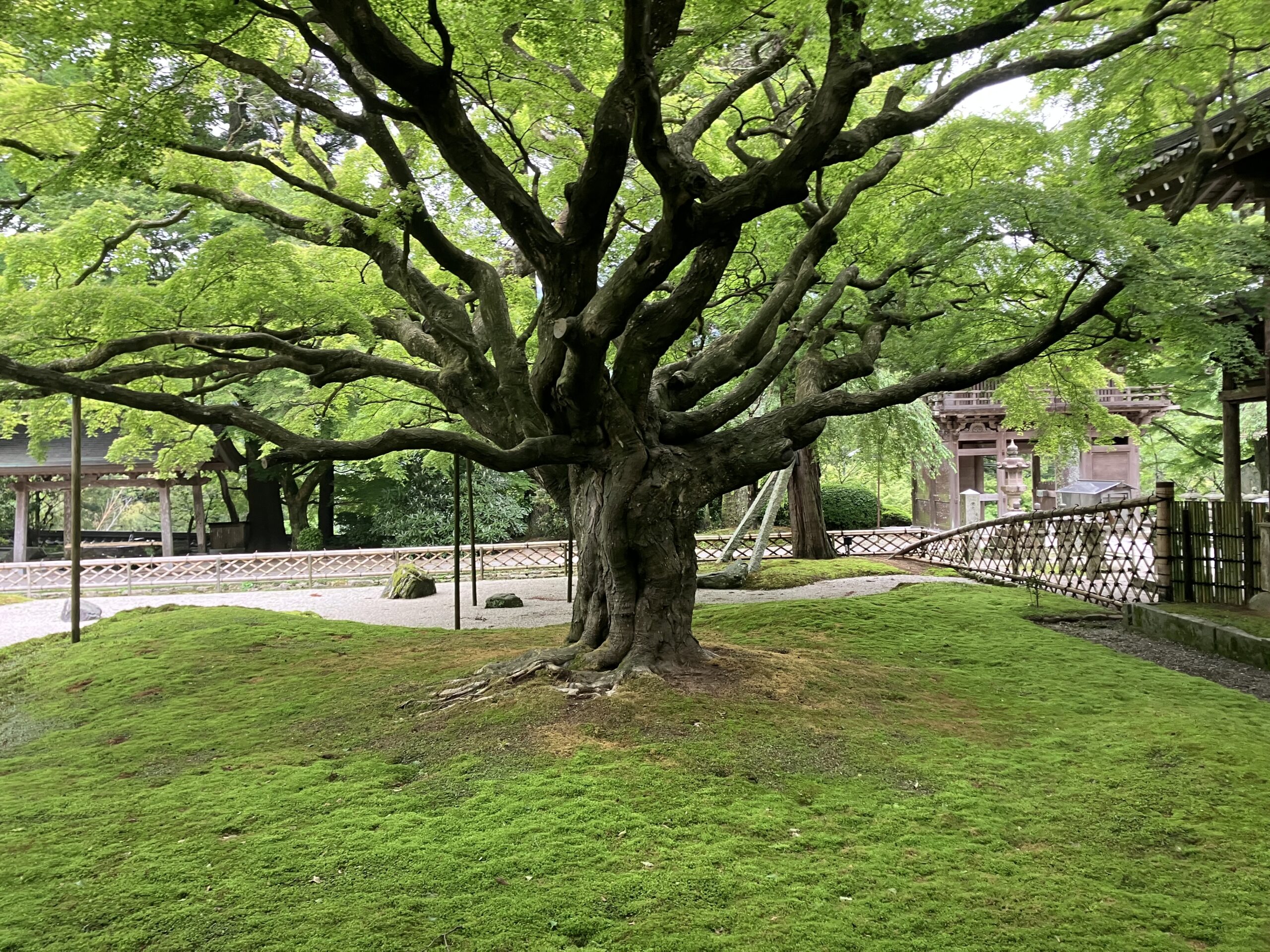 雷山千如寺大悲王院