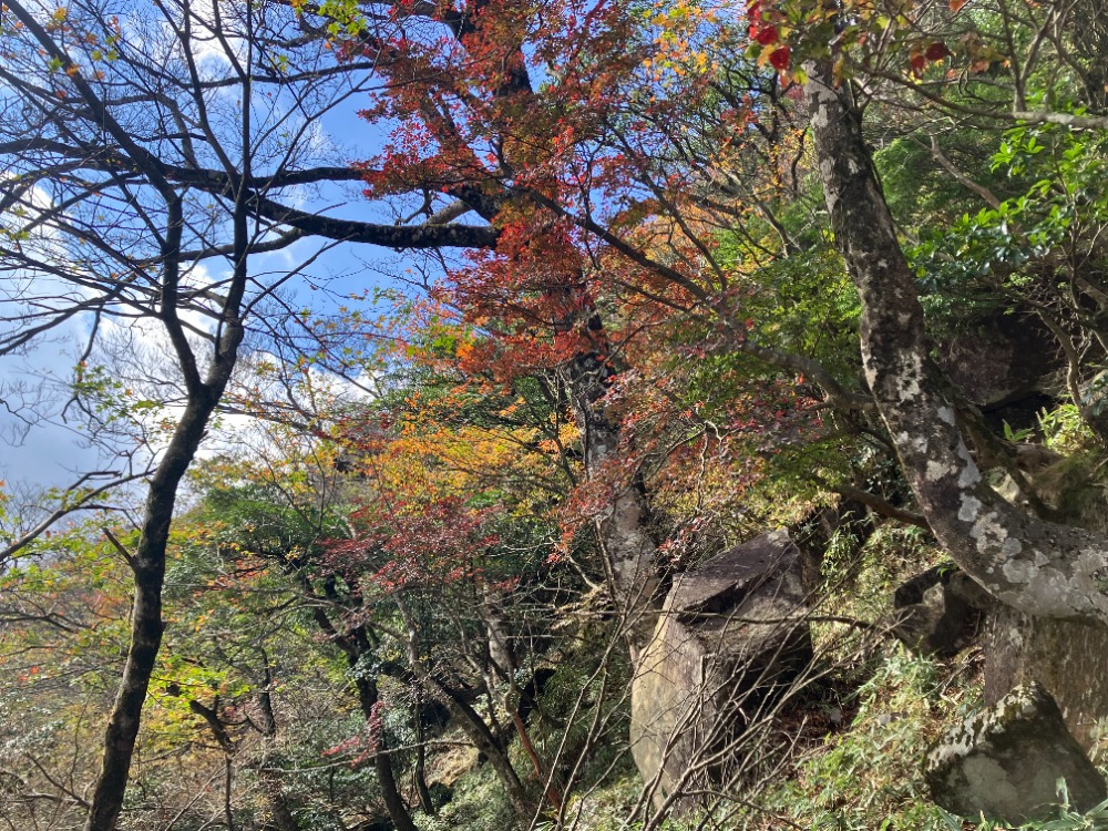 英彦山の紅葉