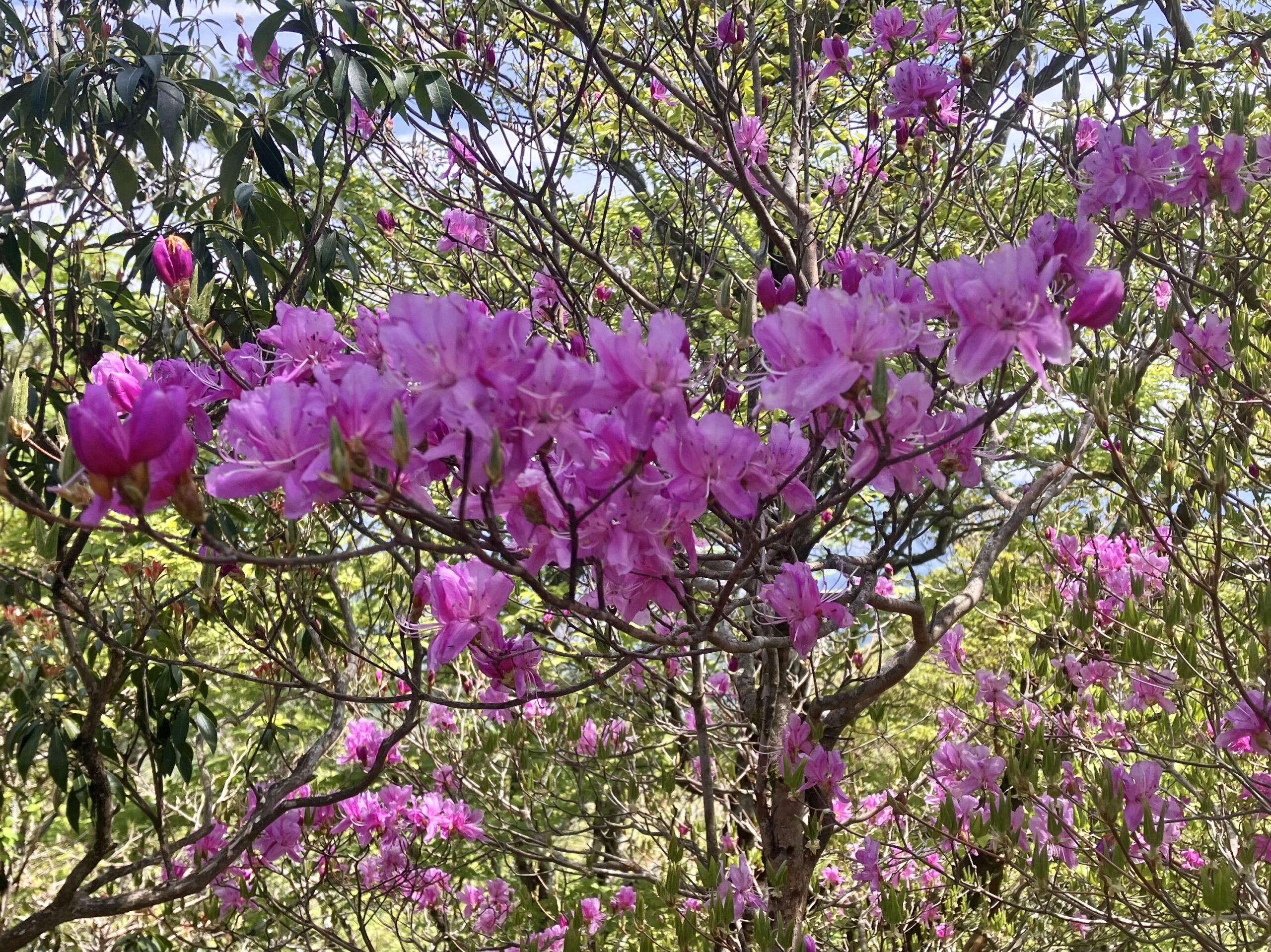 三方岳
