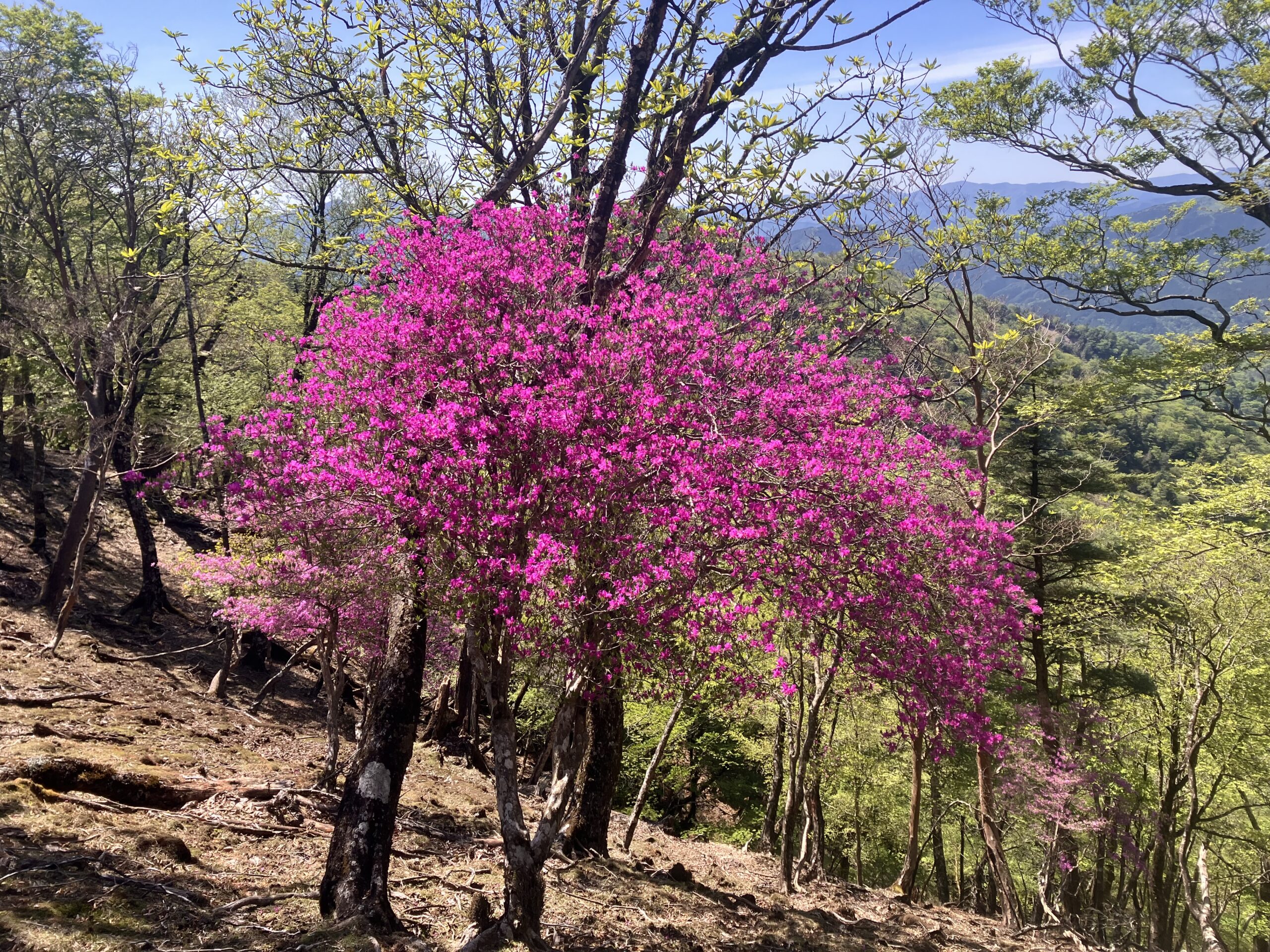 三方岳